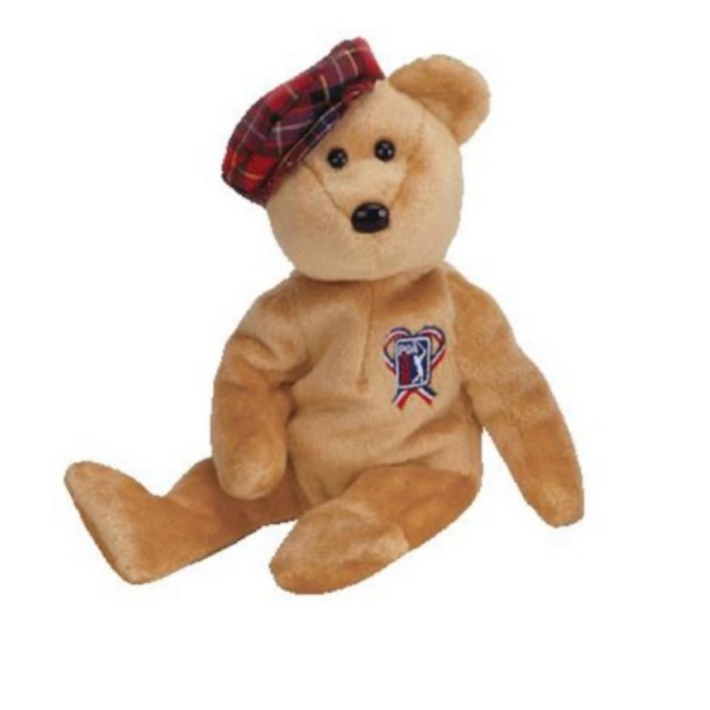 2004 ChariTee the Bear Beanie Baby